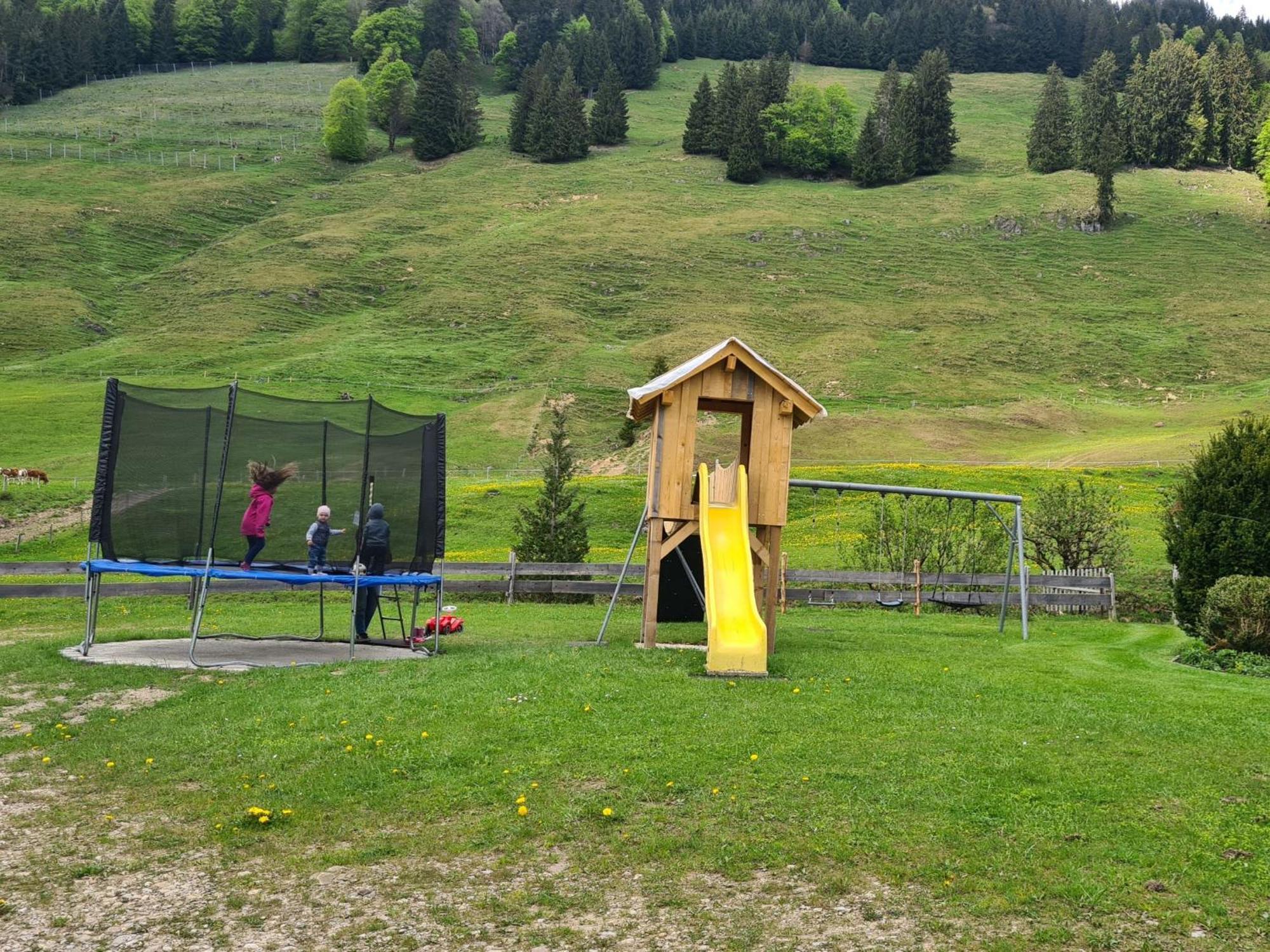Alpe Berg Balderschwang