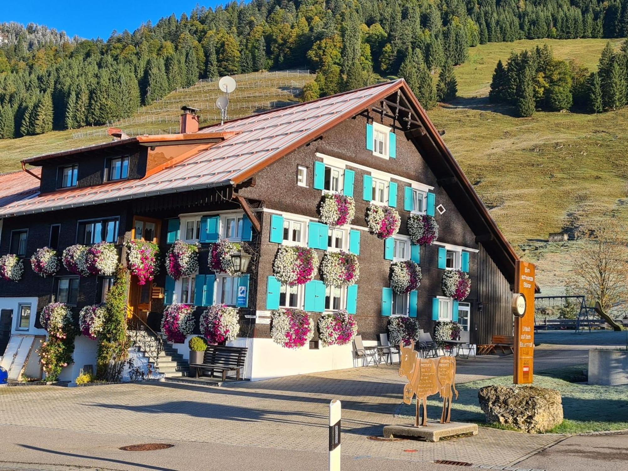 Apartment Alpe Berg Balderschwang