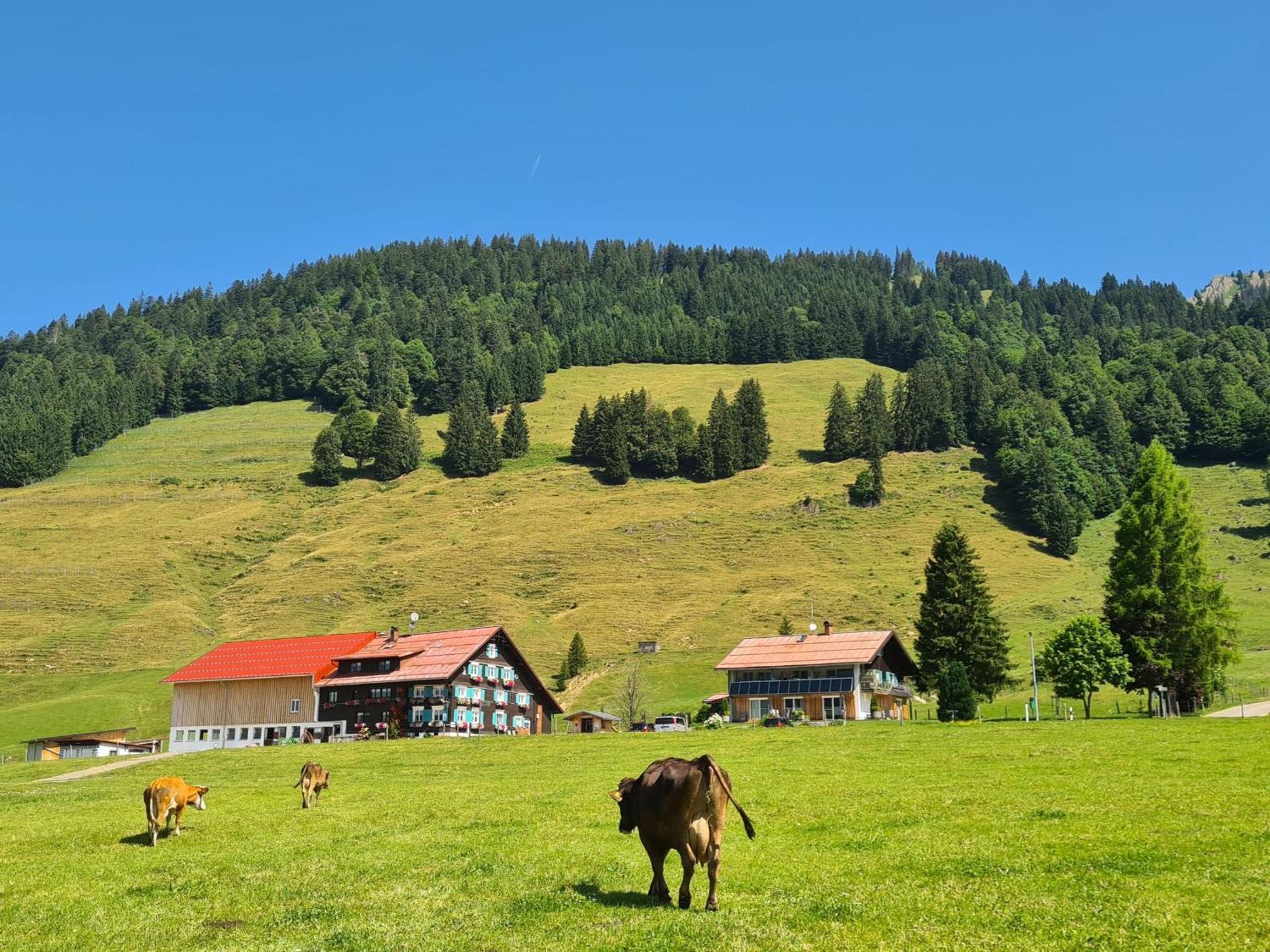 Alpe Berg *