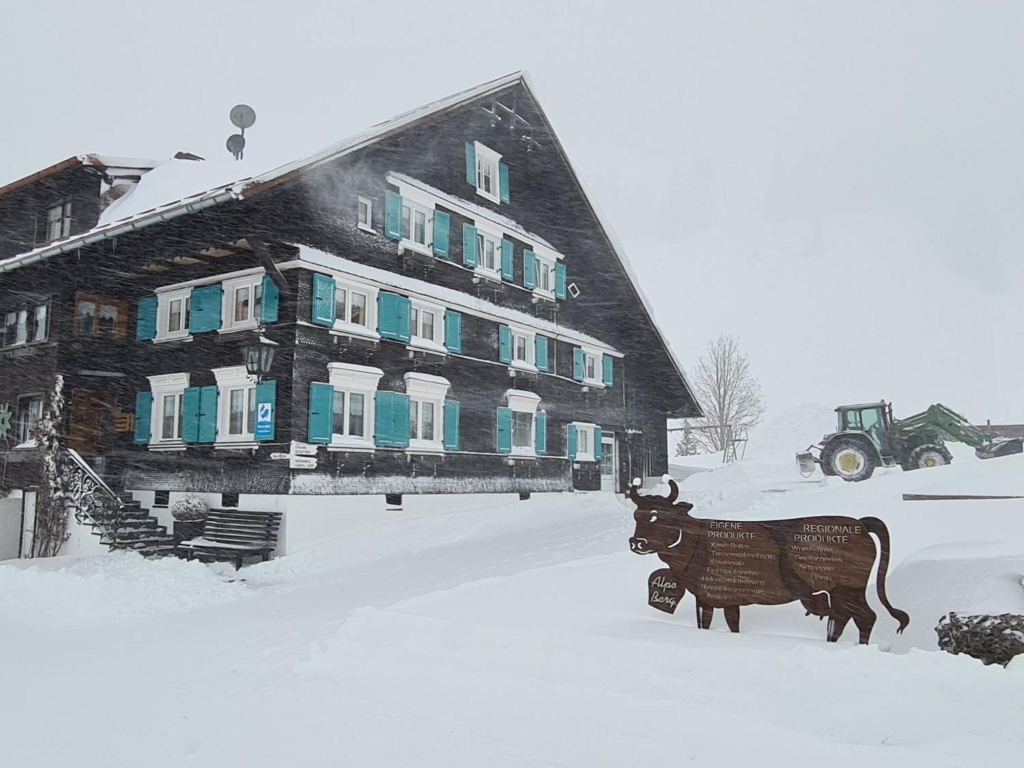 Alpe Berg Apartment *